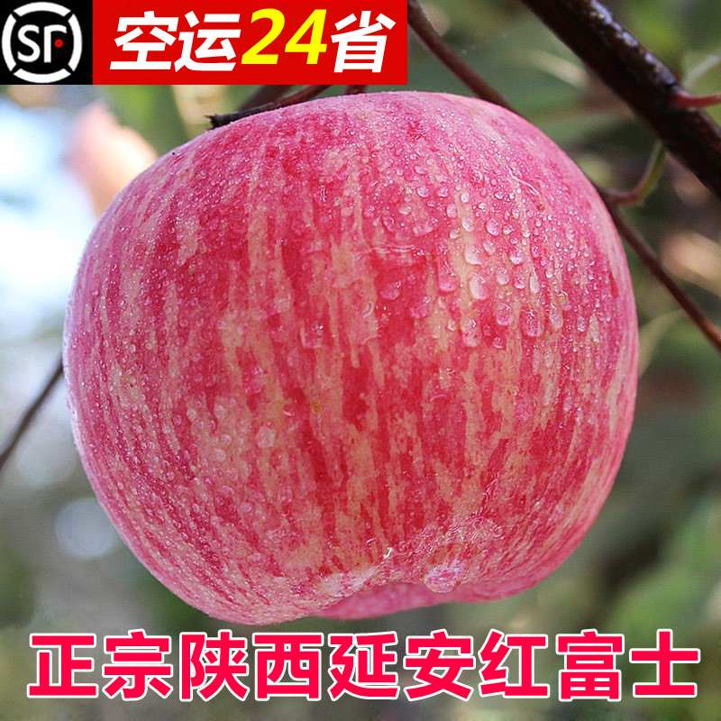 崨ƻˮ䵱츻ʿĴ10
