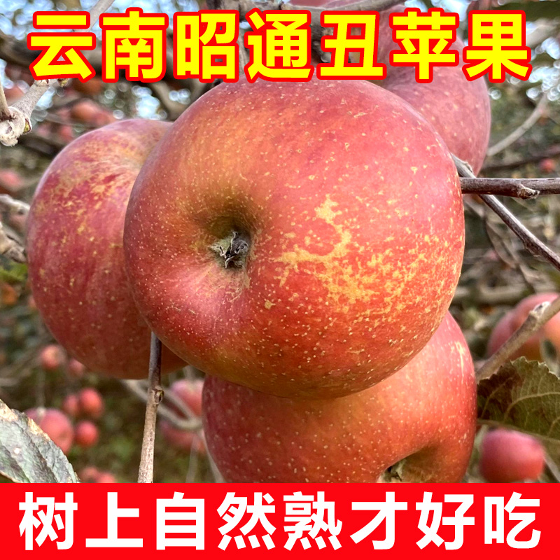 ͨƻƻˮʴ10츻ʿ
