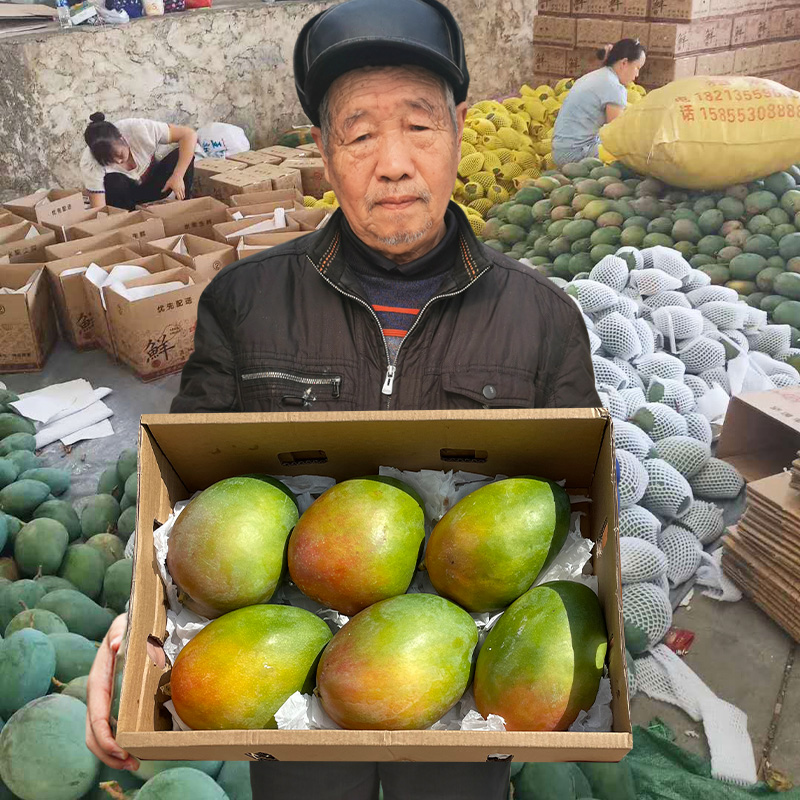Ĵ֦â9Ӧˮشâµ10
