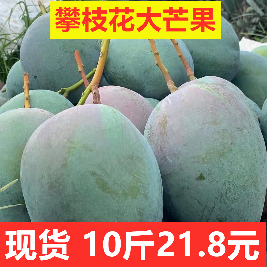 Ĵ֦Ƥâ10ˮʵشâʹ

