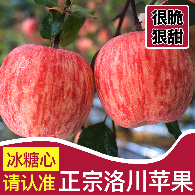 崨ƻˮʵ츻ʿһ10
