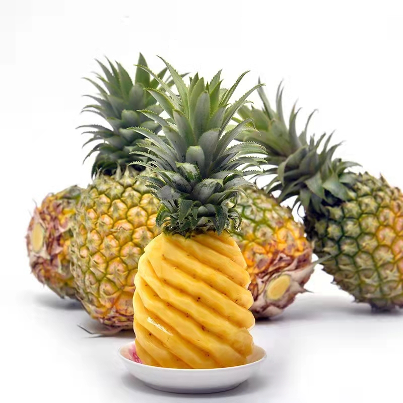 㶫Ųˮ10ﵱˮʷտСܷ
