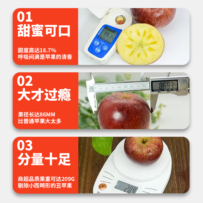 ɽƻԴˮʵ츻ʿ10Ƽи
