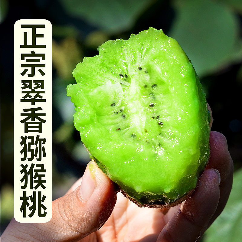 ⨺ˮʵֺӦ5
