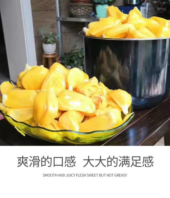 2ɰ̩鲤ۺˮ۰
