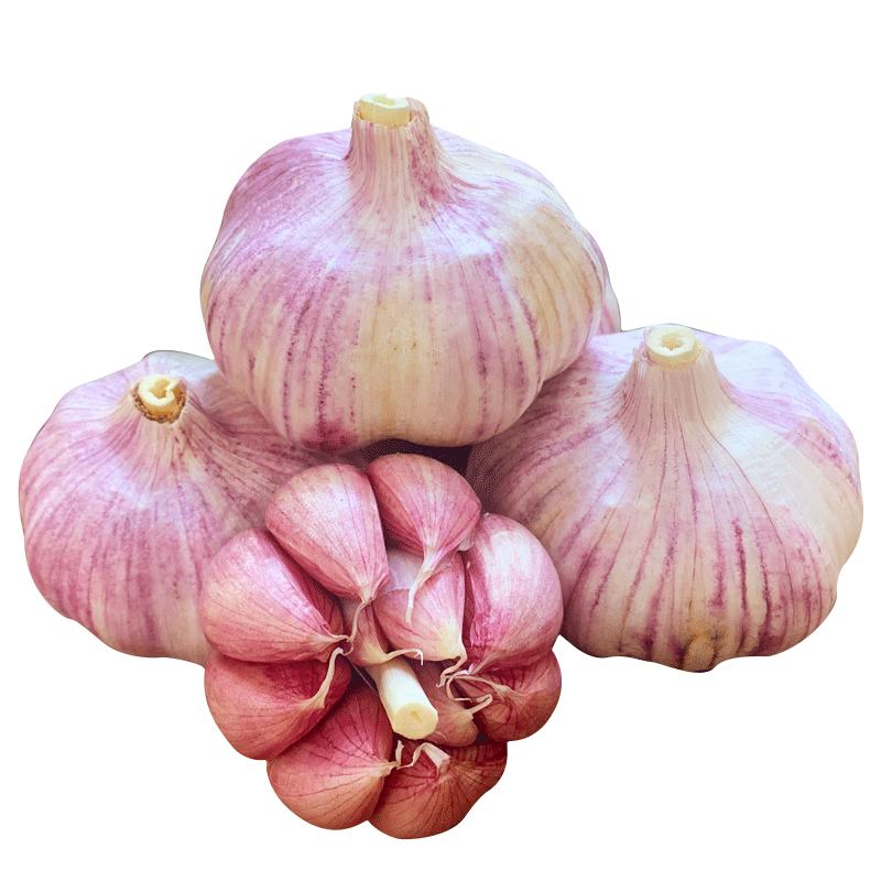 Եɽͷ5װƤ2ʶũ202310
