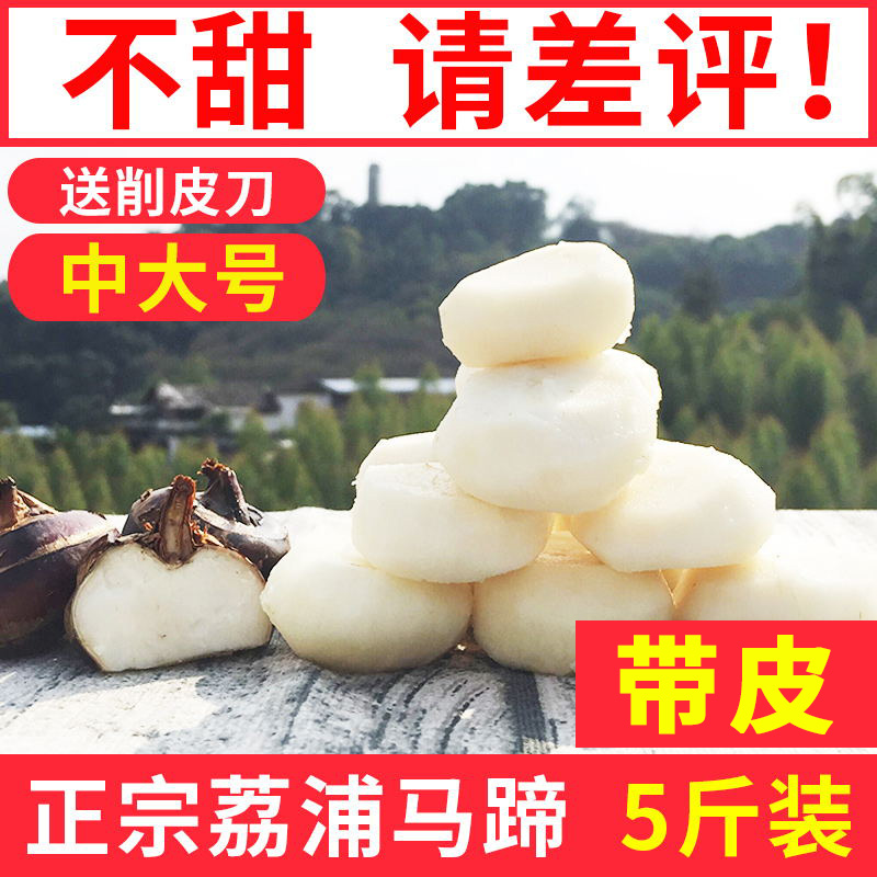 ڹ ݩũ߲ˮ5ַ
