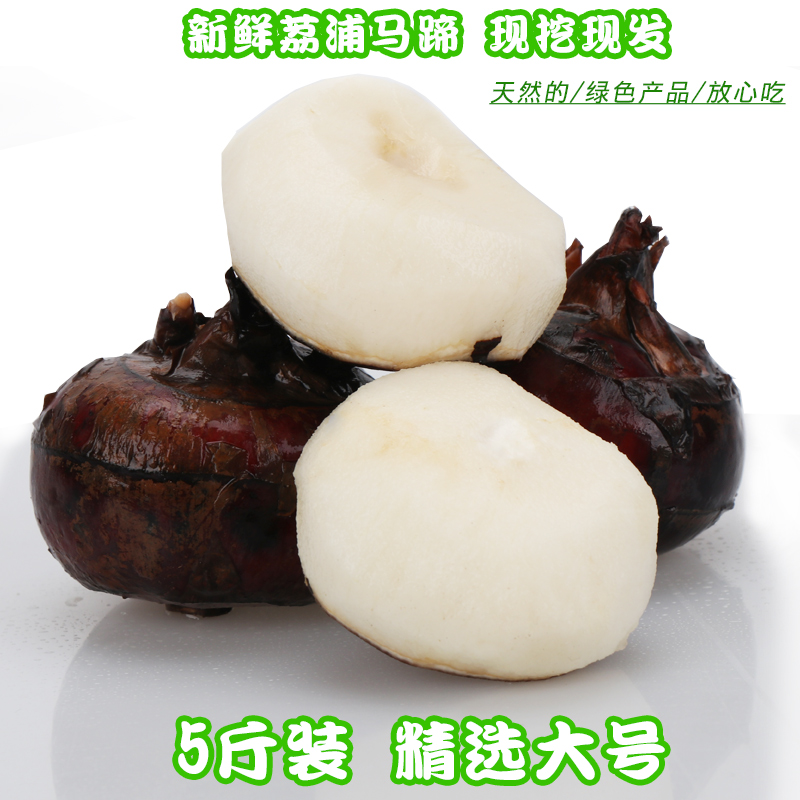 ڹ ݩũ߲ˮ5ַ
