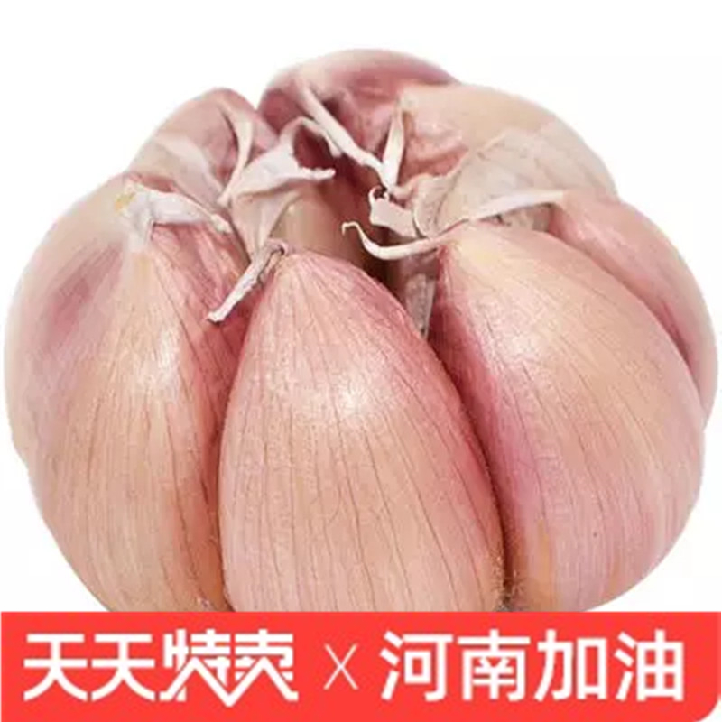 ũҸɴ5ͷʴƤӿ91
