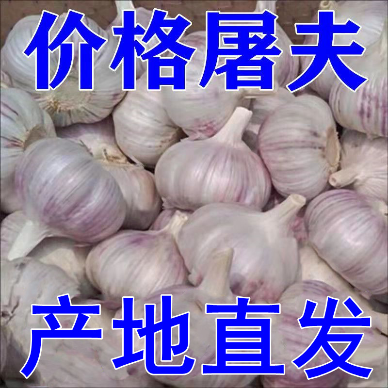 ũָɴͷʰƤ3/5/10װѸͼ۴ɹ
