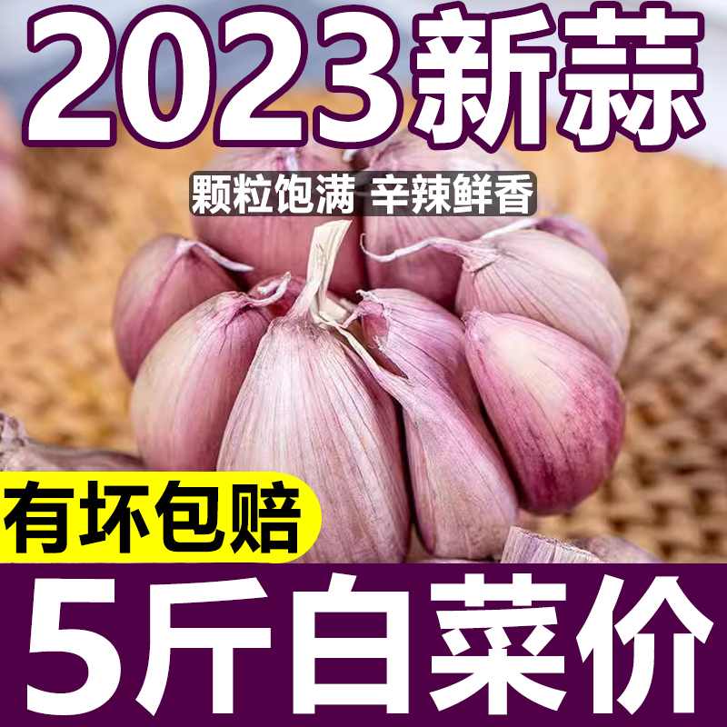 ɽƤͷ52023߲˵{10ũ
