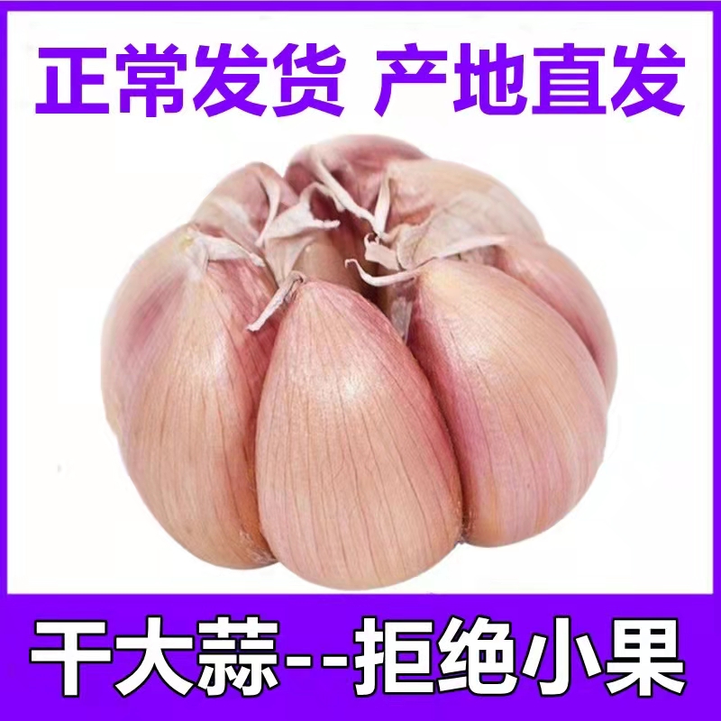 ũָɴͷʰƤ3/5/10װѸͼ۴ɹ
