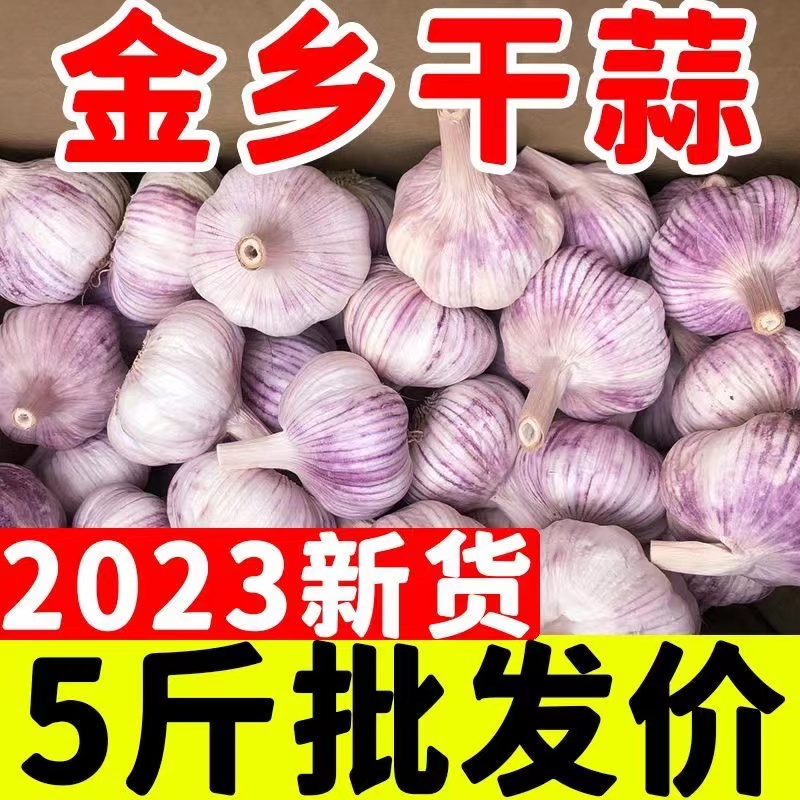 ɽƤͷ52023߲˵{10ũ
