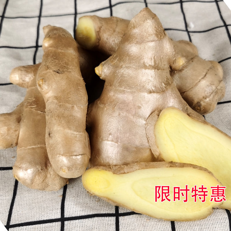 ɽϽ޲ʵڴཪĸӽڼ
