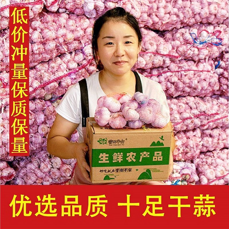 ͷϰƤ¸ƤͷϰƤʮ1-5
