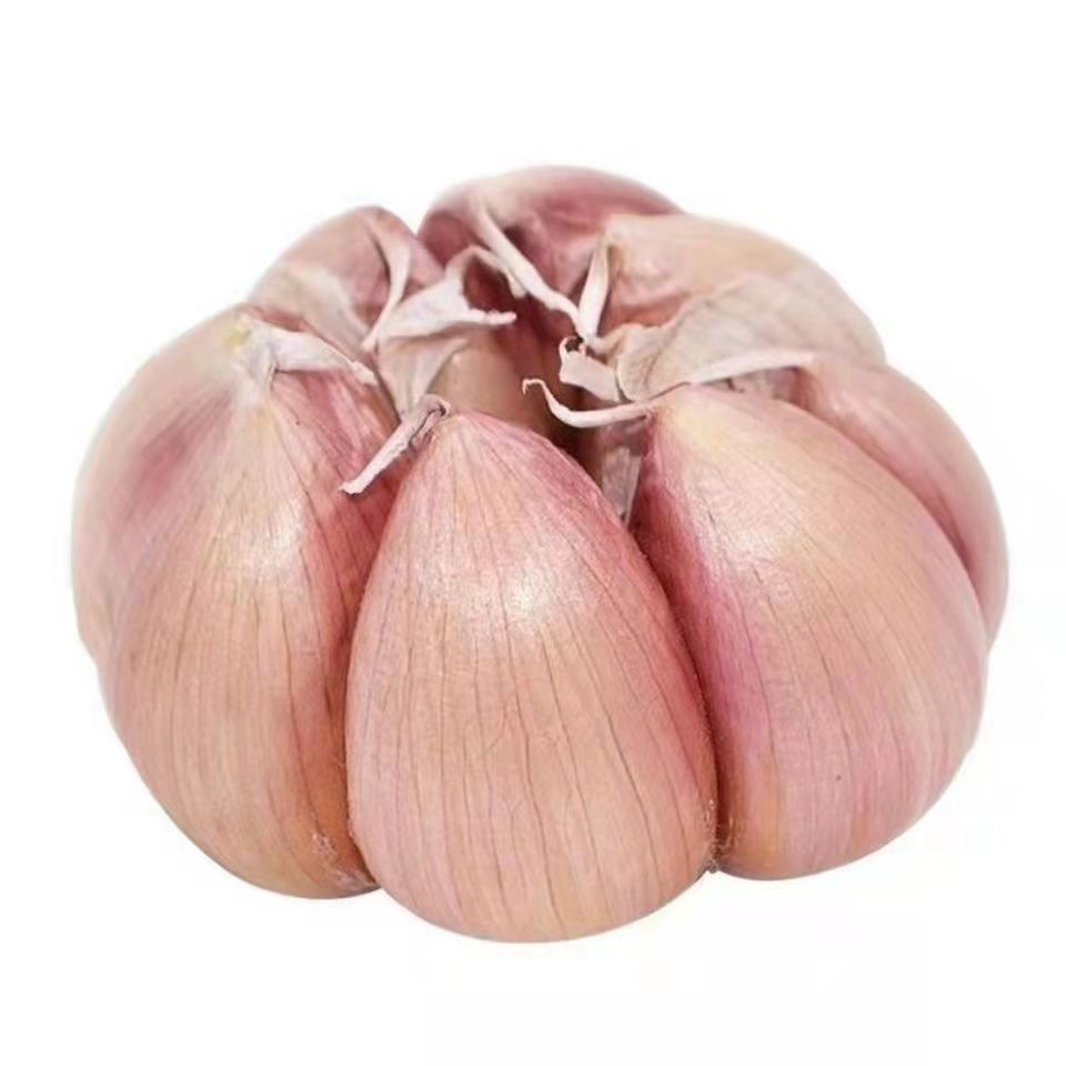 ũָɴͷʰƤ3/5/10װѸͼ۴ɹ
