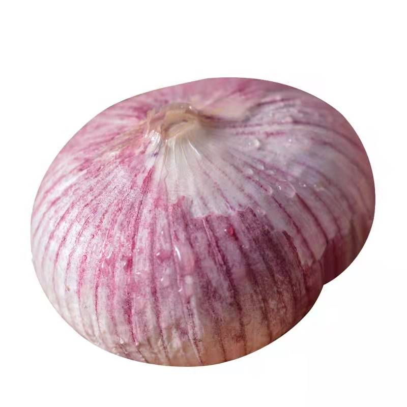 Ƥͷ10ʴѾũԲԭƷͷ
