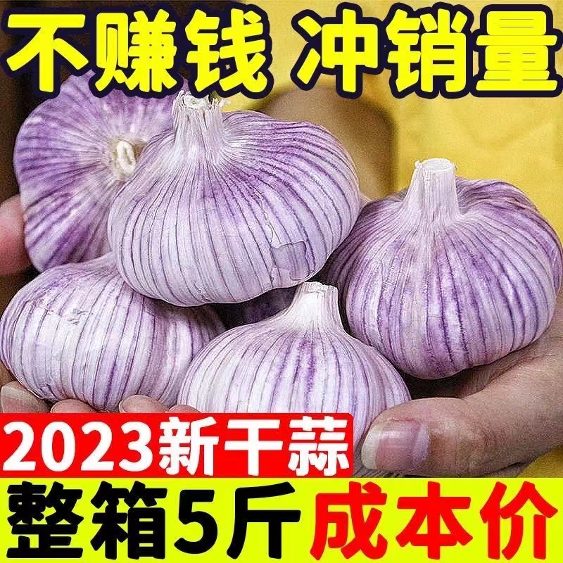 ɽƤͷ52023߲˵{10ũ
