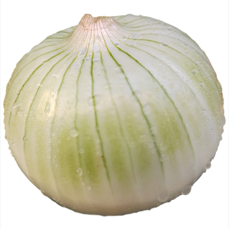 ½Ƥ߲ũִ֭5
