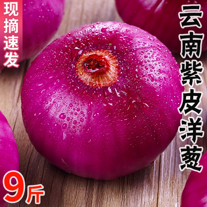 Ƥ9Сͷũ߲˺ƤСԲ5
