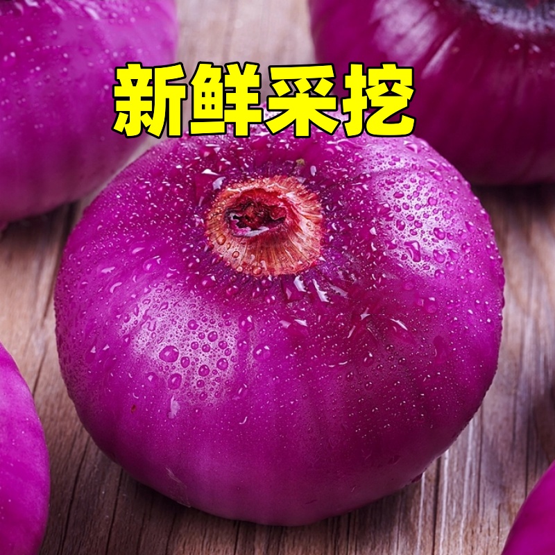 شˮ10ƤԲԪͷС߲˵Դ
