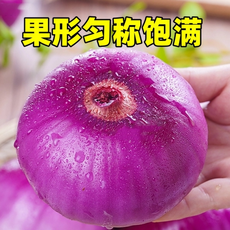 شˮ10ƤԲԪͷС߲˵Դ
