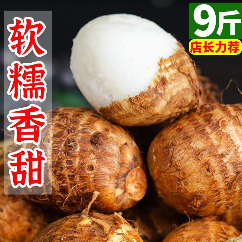 ţСͷũҷŴëͷܵ9Բ5
