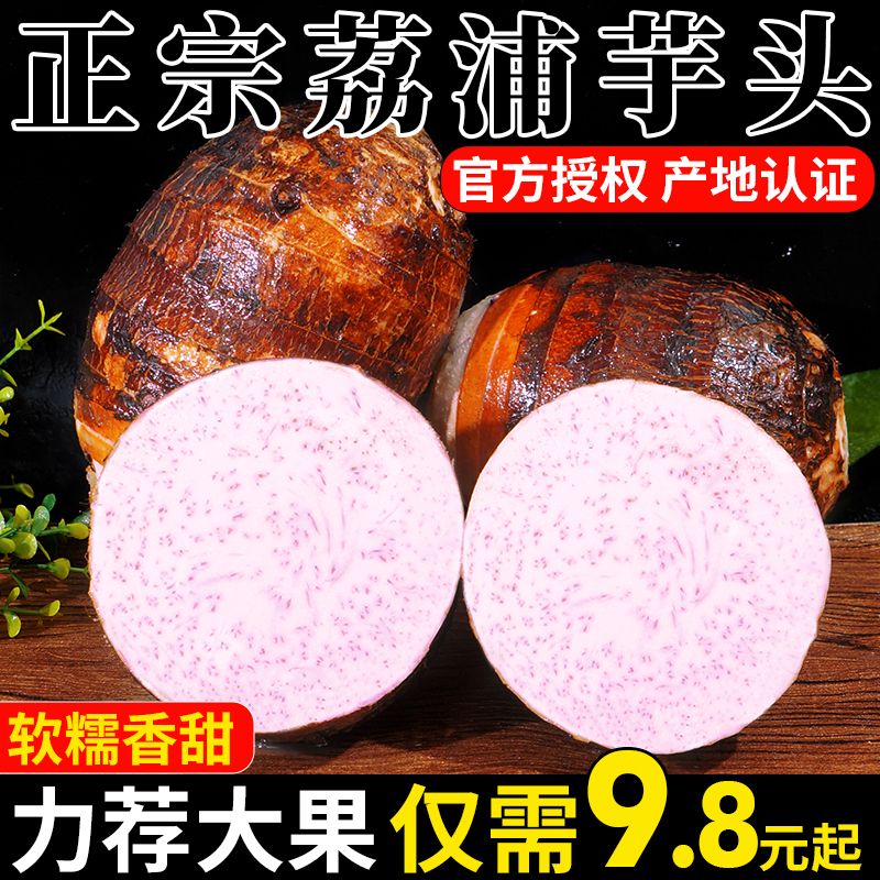 ͷСͷ콢ëܵ95
