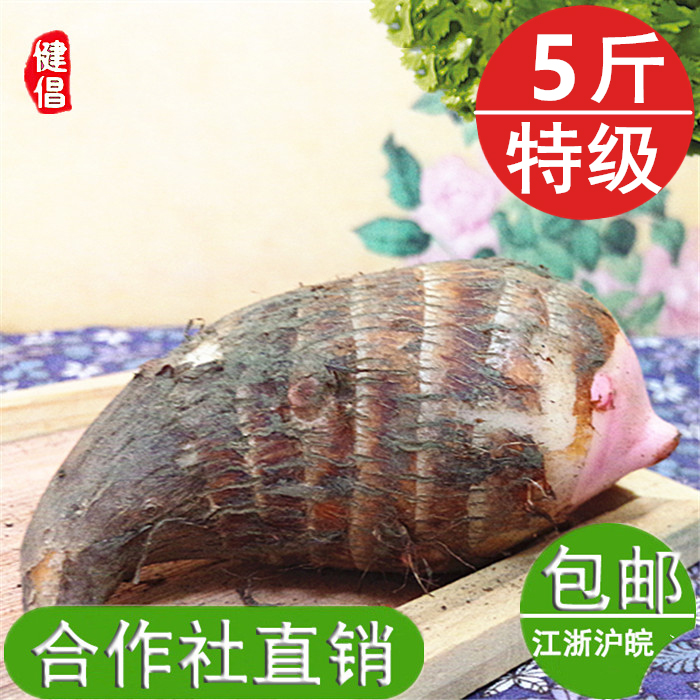 ̳ڽܵںѿ5ؼyutouʳ
