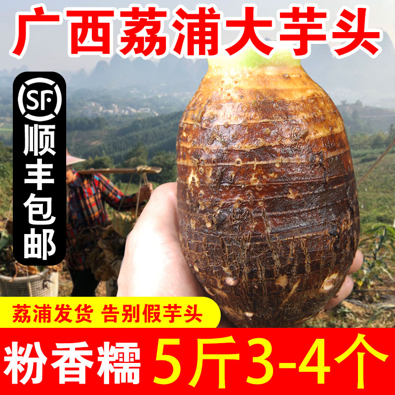 ˳ʡزͷشһ5
