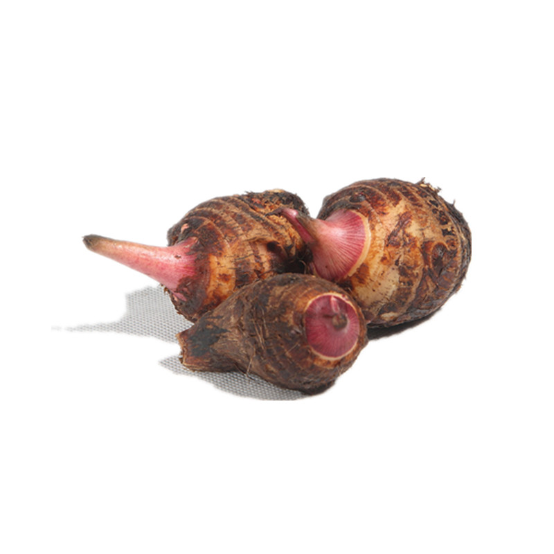 ̳ڽܵںѿ5ؼyutouʳ
