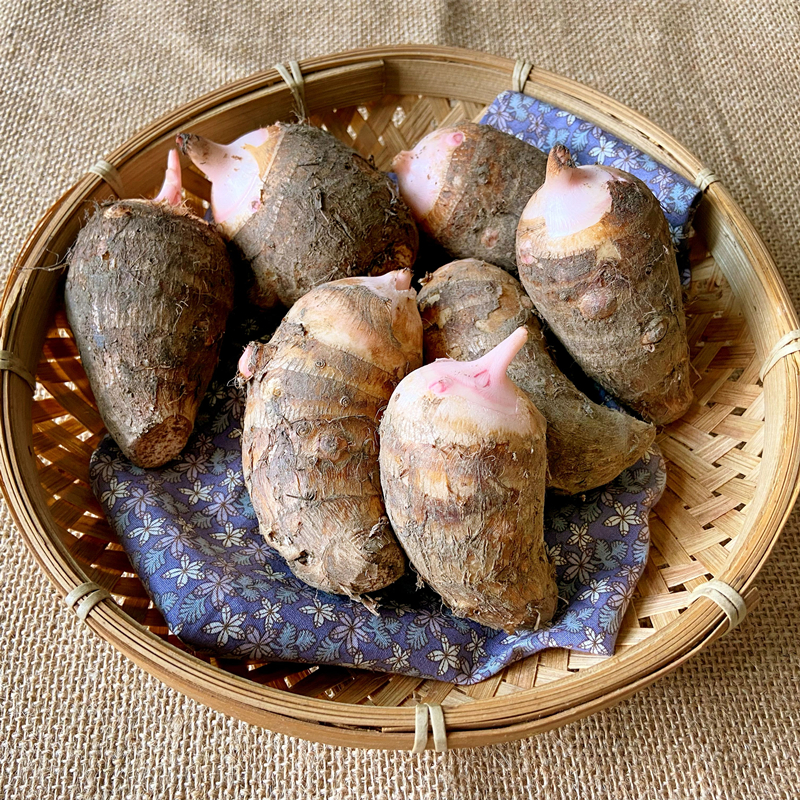 ̳ڽܵںѿ5ؼyutouʳ
