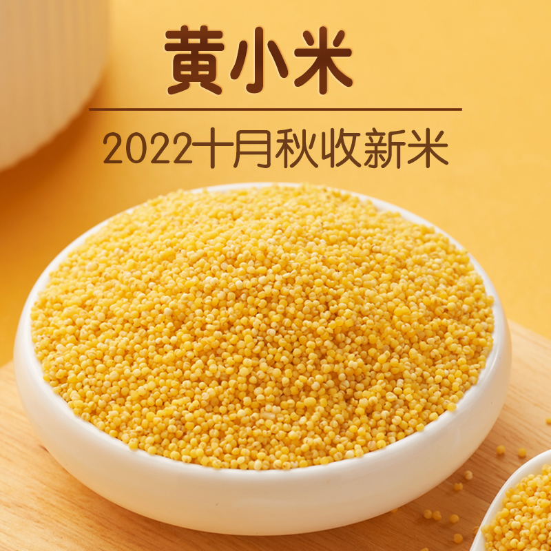 СɽлС5װ2023ճθ
