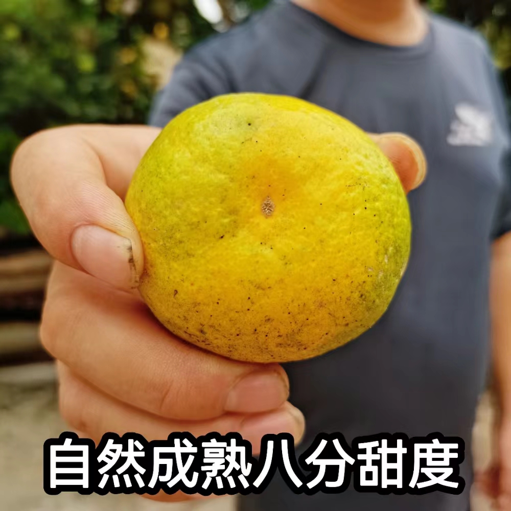 Ӻϱũָ Ȼ5ժַ
