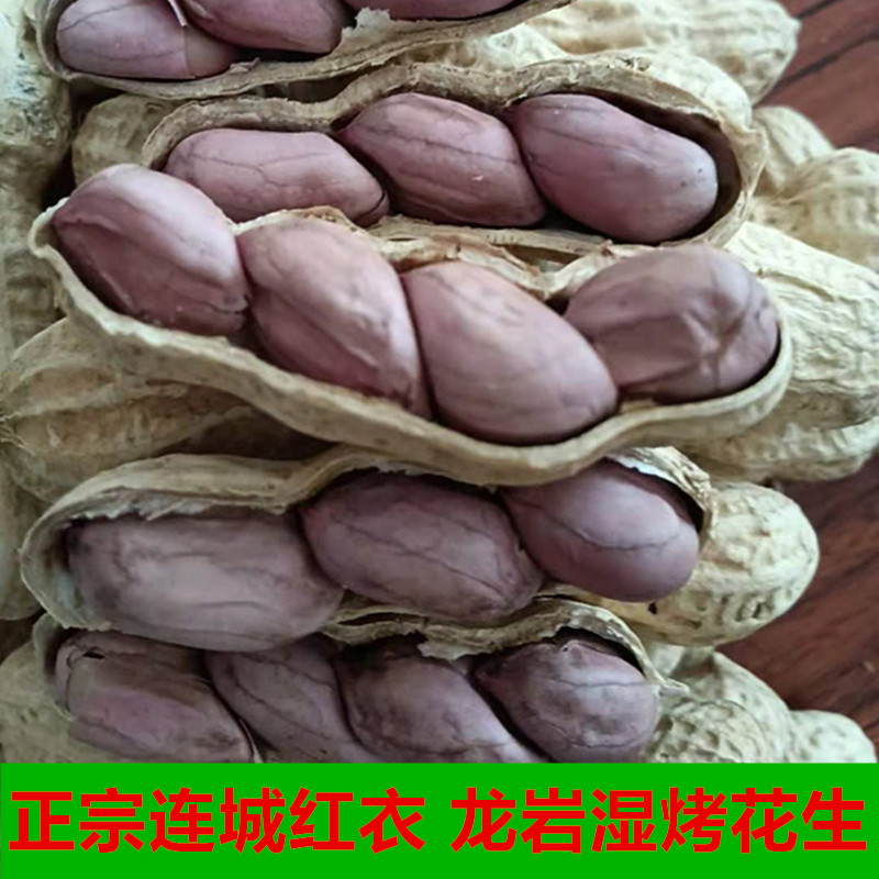 Ǻ»2023زڴװƤˮʪ
