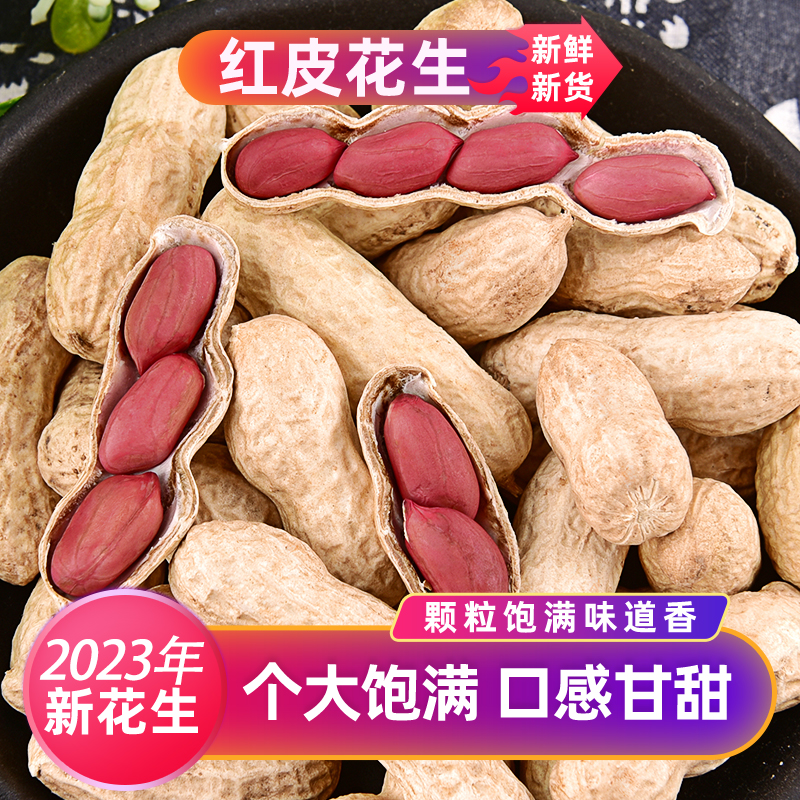 2023ջƤ500װ 컨ɹԭζ

