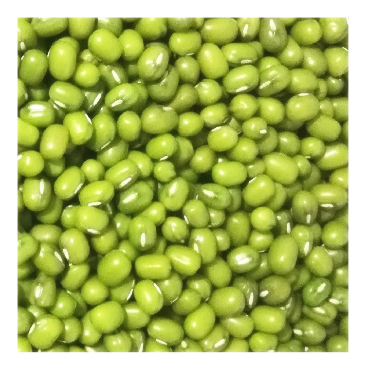 ϱ׵ʶ峣̶ѿũԲ»500gСװӰ
