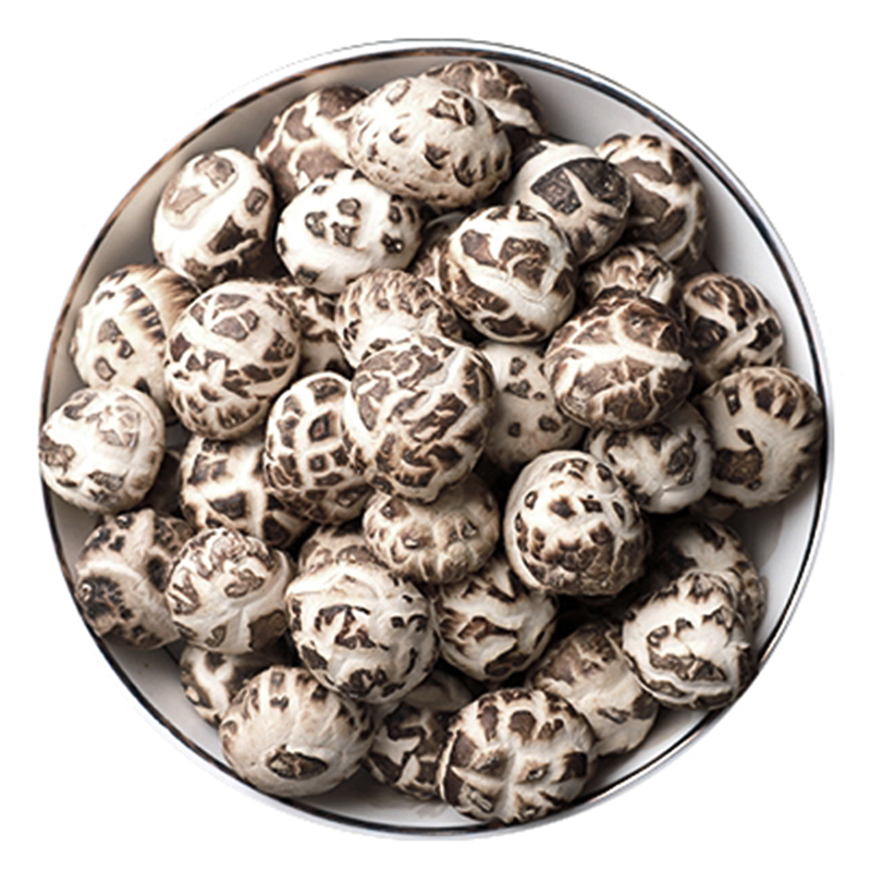 ũܻС㹽ɻ500g2.2cmľĢز
