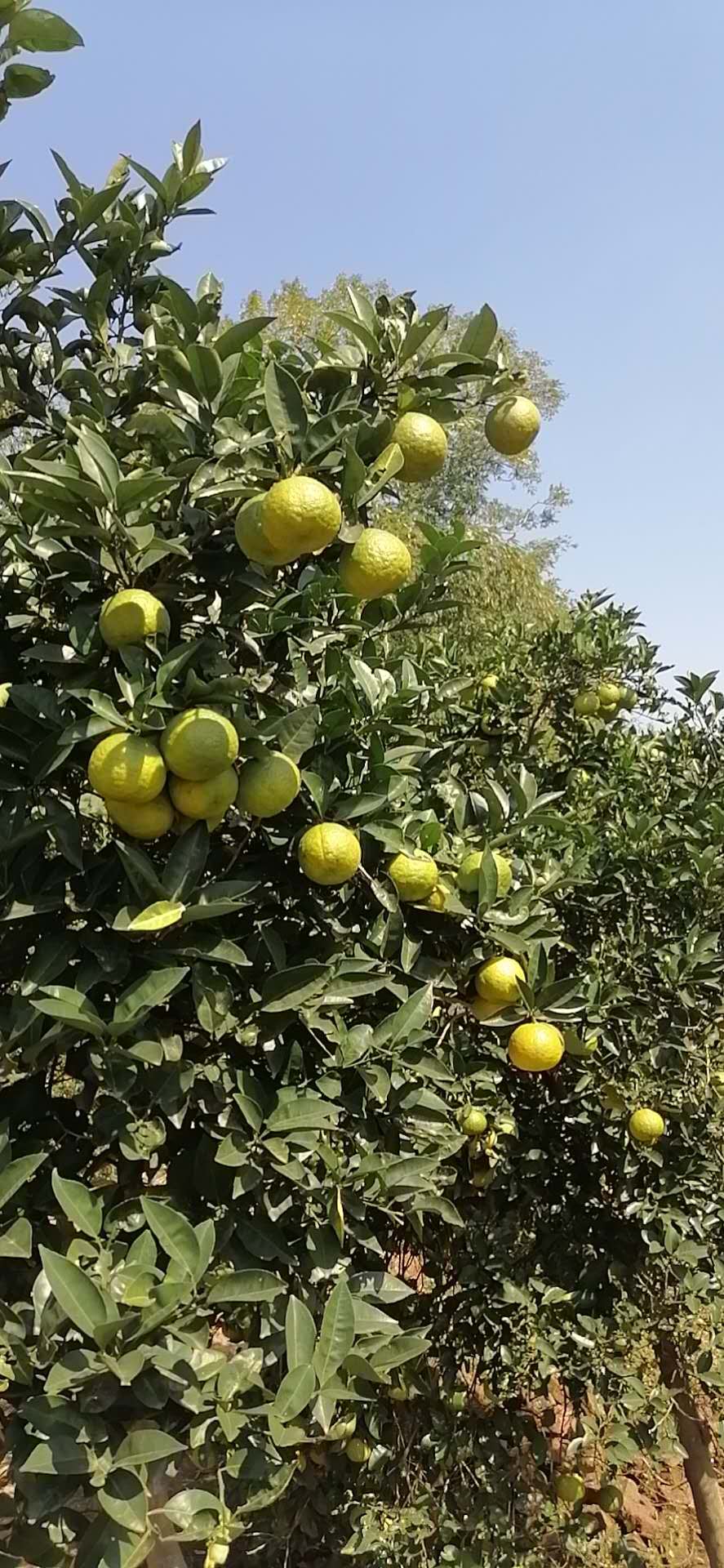 ҰӳƤиʱˮժַ
