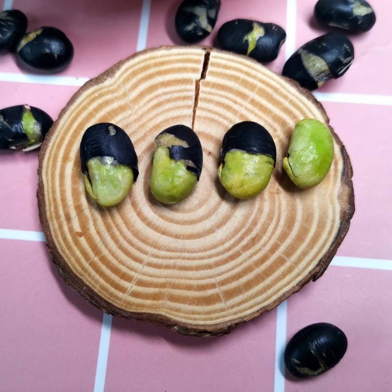 ½ʺֺڶʳγ500g/Сڶиʳز

