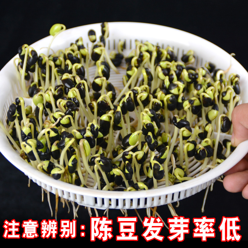 оСڶũԲ5װѿʶ
