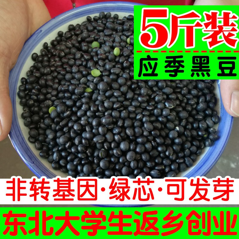 оСڶũԲ5װѿʶ
