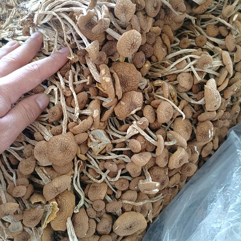 ũҲɻɡǶн250gؼ㹽Ģ42.6Ԫ500g
