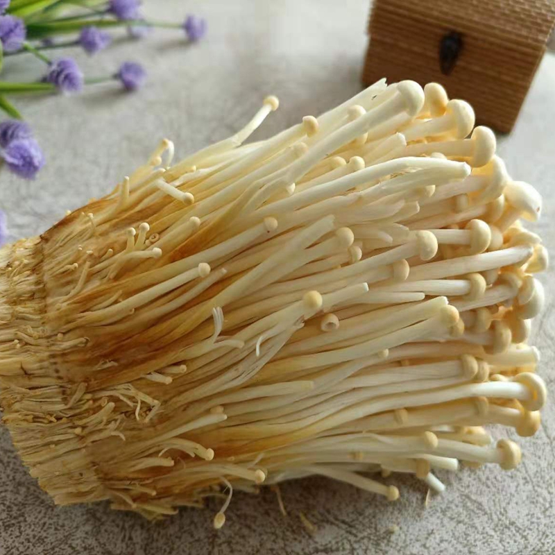 ʻƽ빽 Ũɫ빽ڰٴʳ

