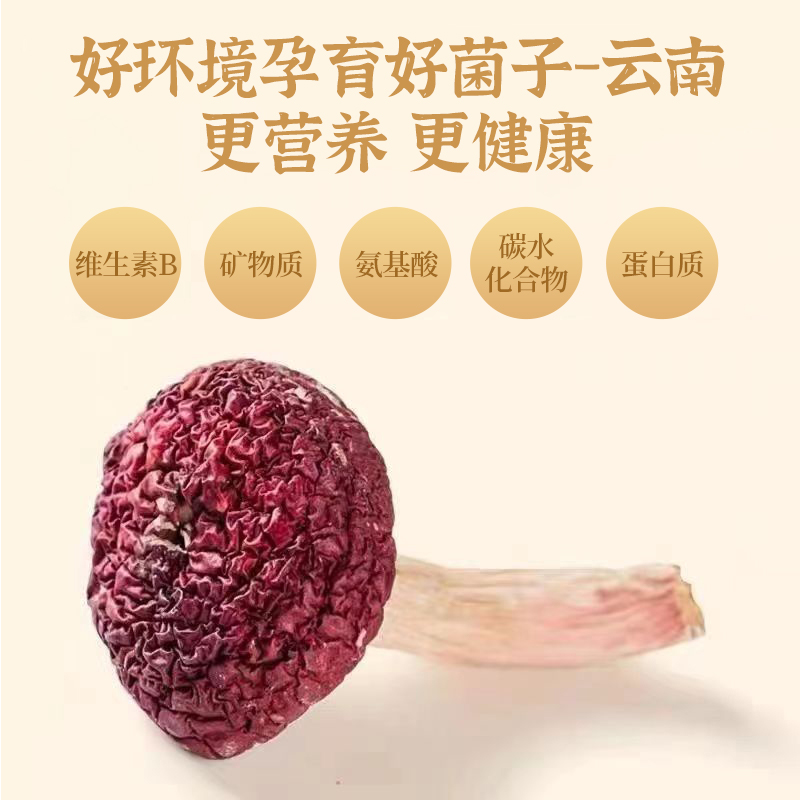 ڱҰ칽ϴ칽Ұ칽ɼͥװ100g»
