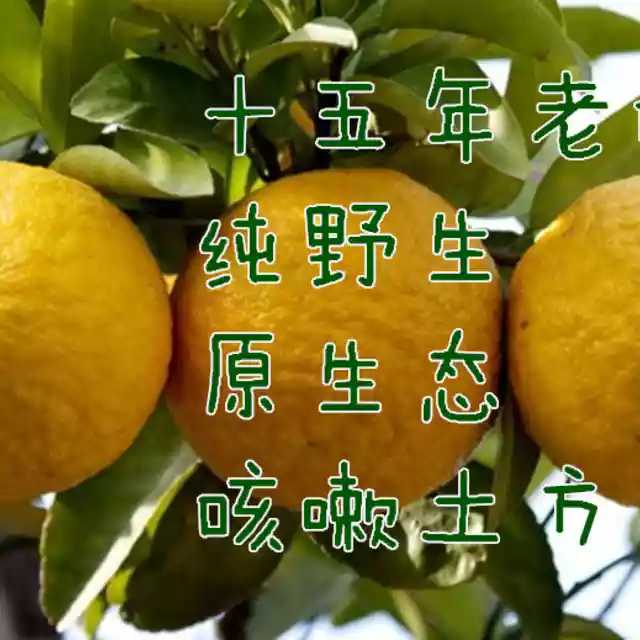 ҰӳƤиʱˮժַ
