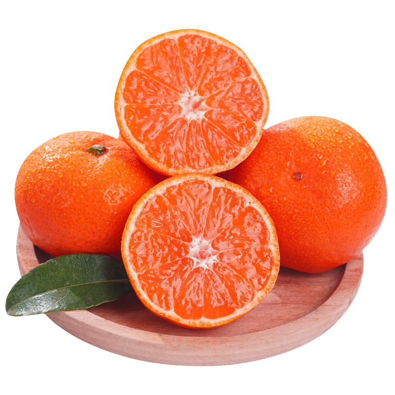 ٺӿȪ۽10ˮɰ޺˽
