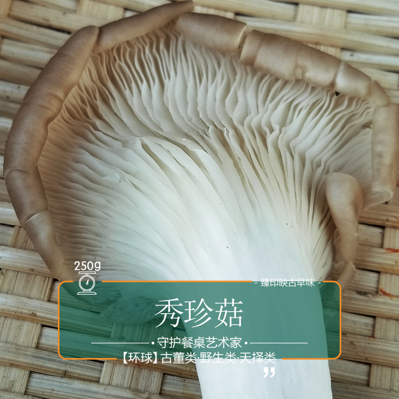 ӡӳ̨乽βӪḻʹάض.6
