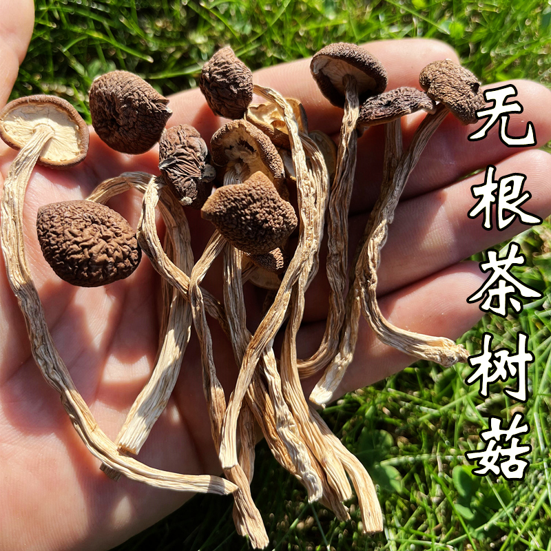 ɻص»ɡ޼޸۲Ģ㹽Ҿɢװ500g
