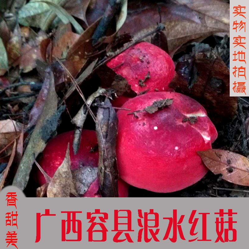 ȻҰ칽иСĢ׵ɻ㹽250˰
